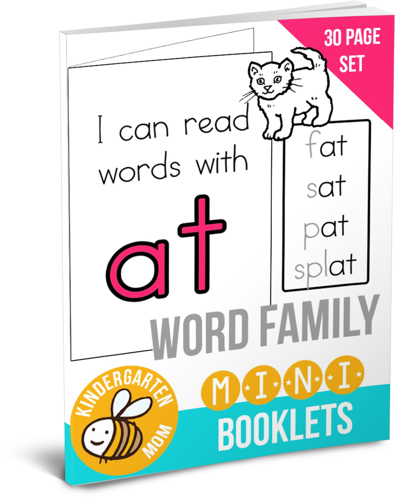 30 Page Set Word Family Mini Booklets