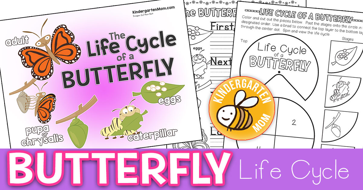 butterfly life cycle printables  kindergarten mom