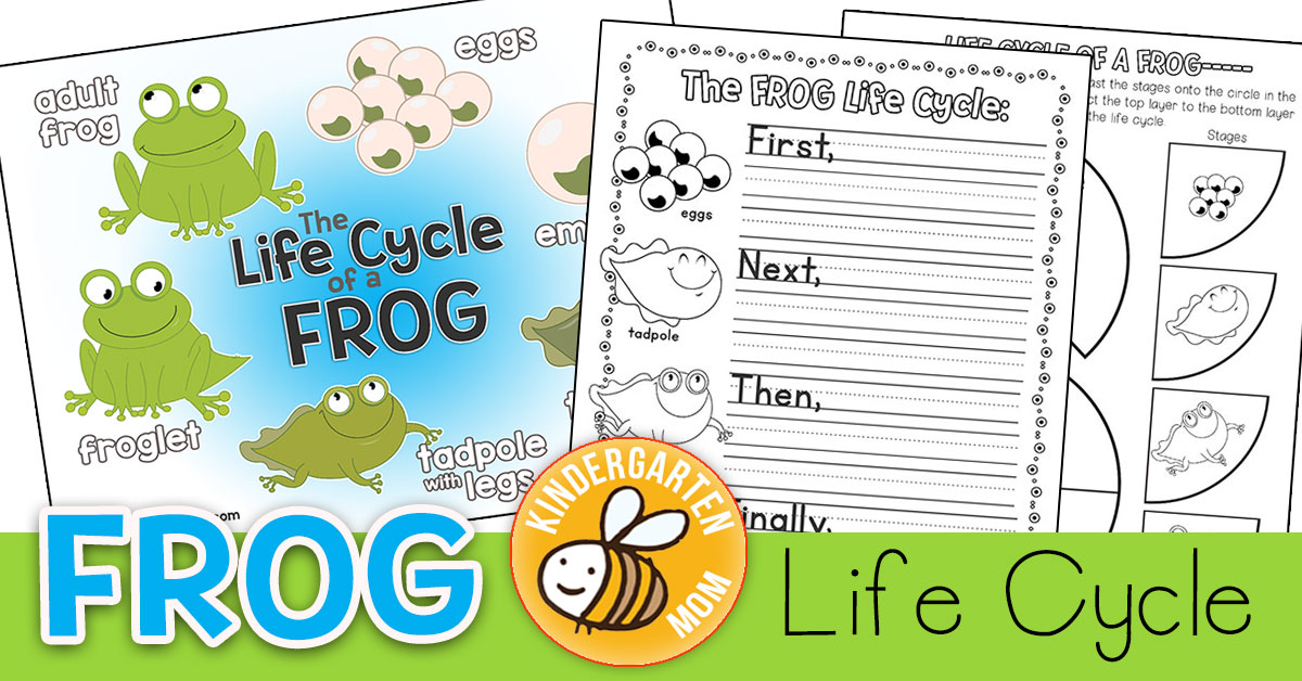 Frog Life Cycle Mini Study 