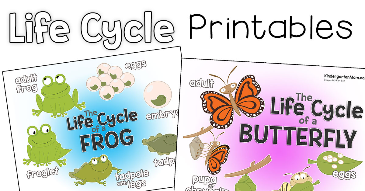 science printables kindergarten mom