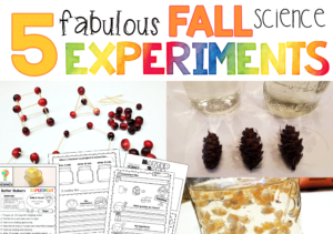 fall experiments for kindergarten